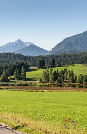 Der breite Radweg entlang des Schmalensee
