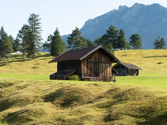 Die Buckelwiesen in der Alpenwelt Karwendel