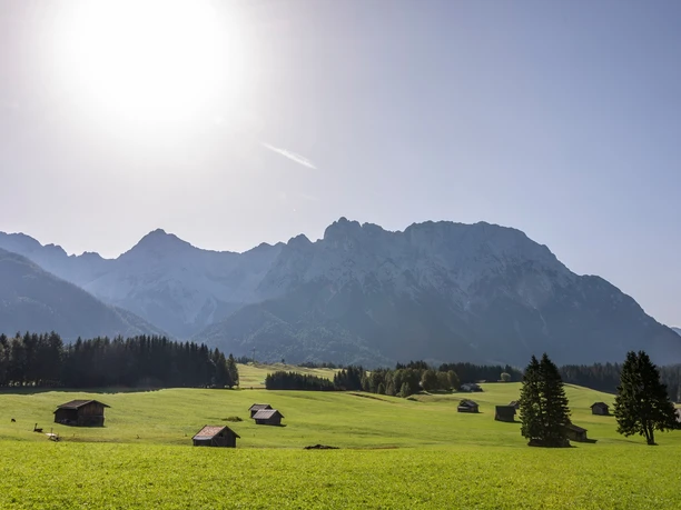 Die Weite in den Isarauen