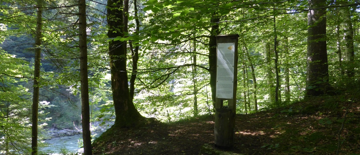 Stele Meditationsweg - Scheibum