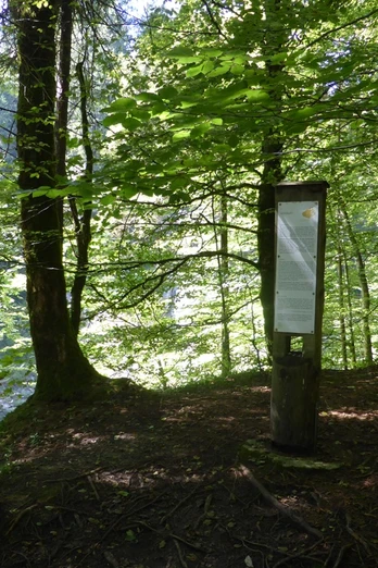 Stele Meditationsweg - Scheibum