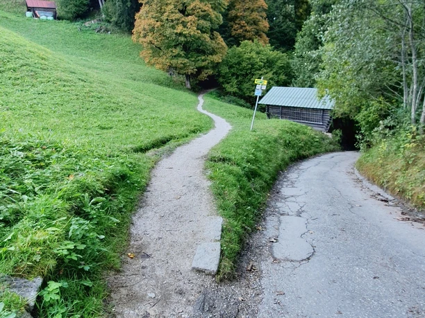 Abzweigung zur Kochelbergalm Abzweigung mit Schotterpfad und Fahrweg vor bewaldetem Hang mit herbstlichen Bäumen