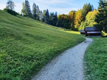 Trail zur Kochelbergalm