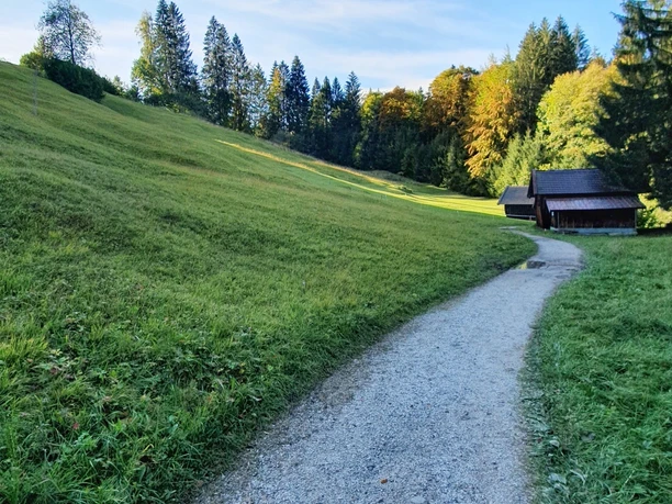 Trail zur Kochelbergalm Schmaler Kiesweg führt über eine Wiese zu zwei Hütten am Rand eines herbstlichen Waldes