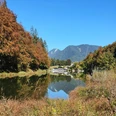 Riessersee im Herbst Klare Herbstlandschaft mit Bergkulisse, See und Spiegelung sowie Häusern am Ufer.