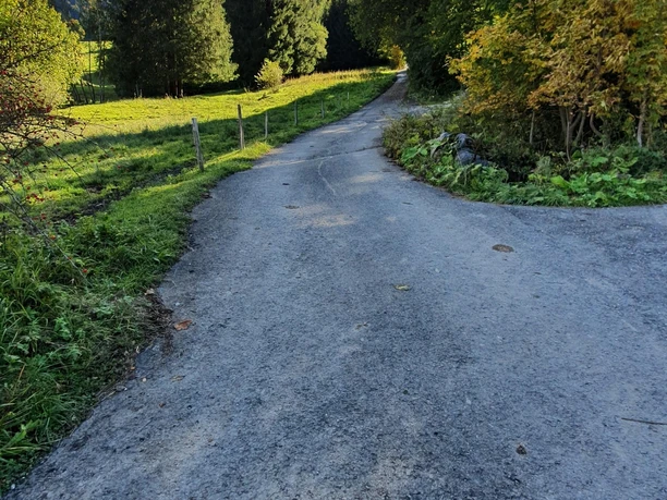 Forstweg Schmaler Asphaltweg durch grünes Waldgebiet unter blauem Himmel mit Sonne im Hintergrund
