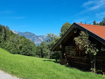 Aufstieg zum Eckbauer im Sommer