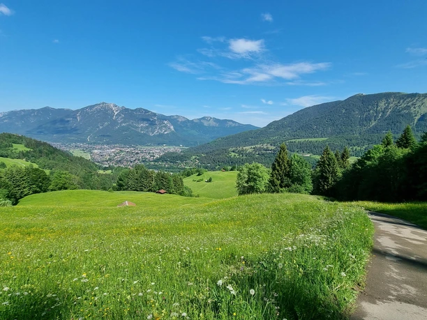 Aufstieg zum Eckbauer Weite Wiese mit Blumen vor Bergen und Blick auf eine Stadt unter klarem Himmel