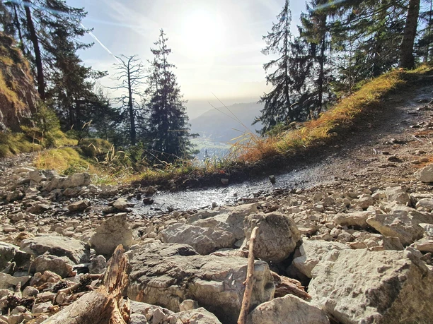 Trail auf dem Weg zur Felsenkanzel Steiniger Bergpfad mit Nadelbäumen, Sonnenlicht und Blick ins Tal zwischen zwei Hängen.