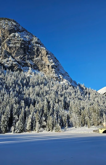 Berggasthof Pflegersee Verschneiter See vor Wald und Felswand mit Berghaus unter klarem Himmel