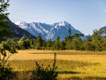 Blick über das Murnauer Moos Richtung Zugspitze