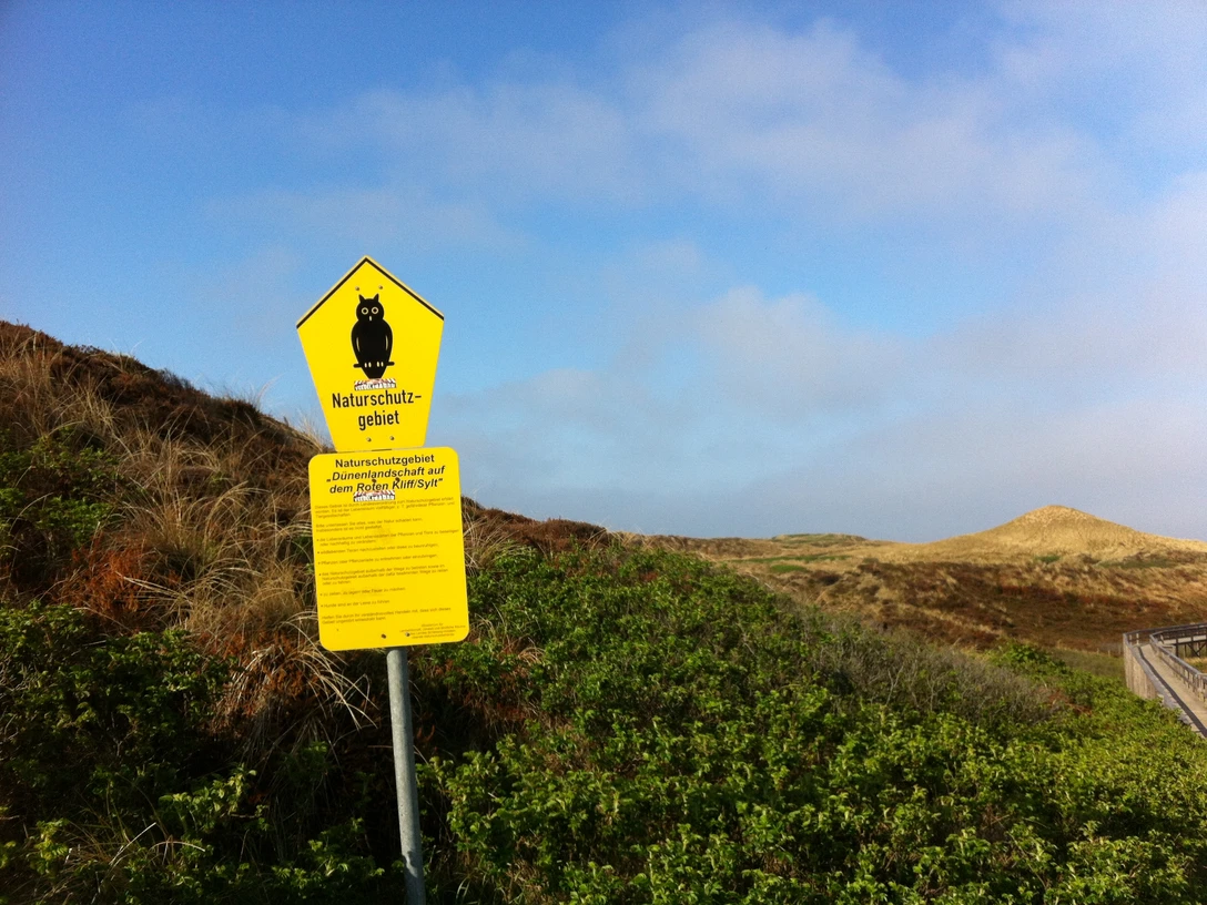 Naturschutzgebiet Rotes Kliff in Wenningstedt.JPG