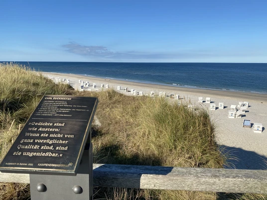 Der Kampener Kunstpfad.jpg