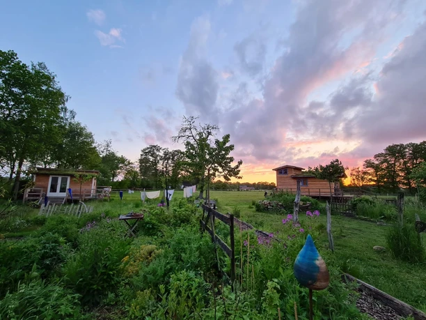 Spatzen-Nest und Storchen-Nest.jpg Garden landscape at sunset with birdhouses, flowering plants and a clothesline.