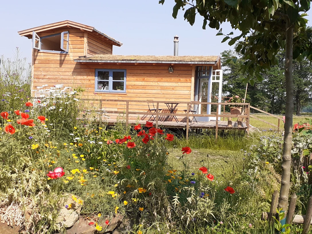 Storchen-Nest.jpg Holzhaus auf einer Veranda mit bunten Blumen, umgeben von grüner Landschaft und klarem Himmel.