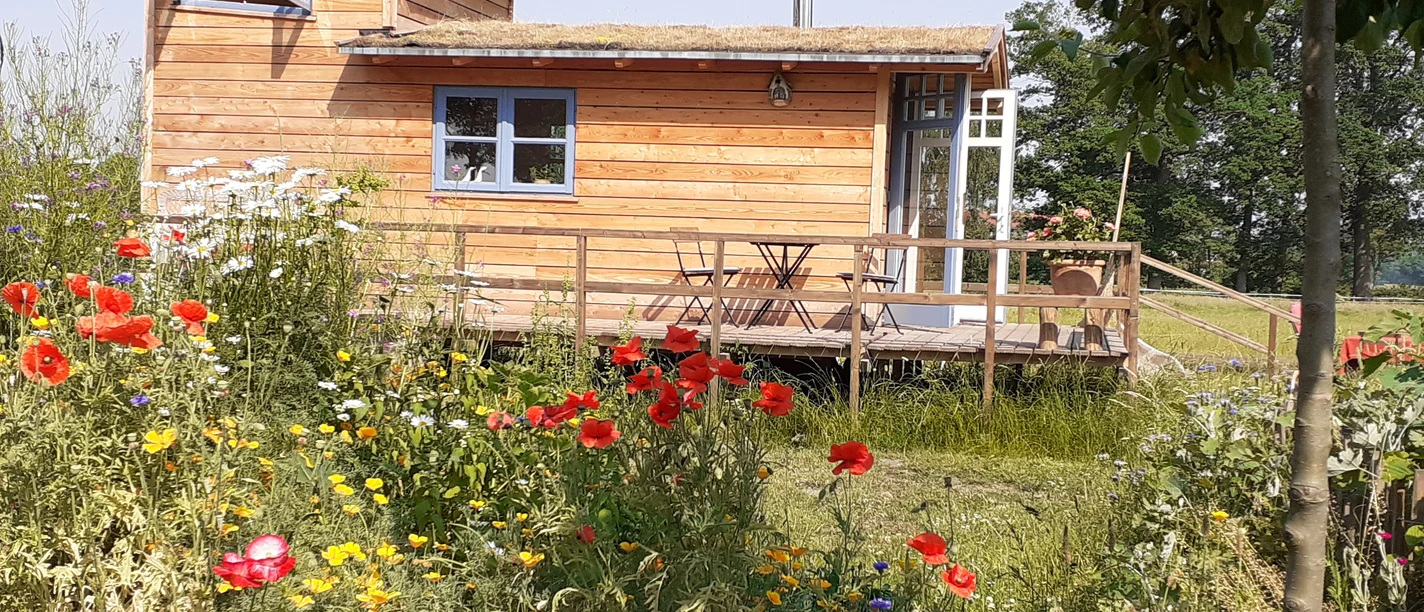 Tiny Haus Storchennest Wooden house on a veranda with colorful flowers, surrounded by green landscape and clear sky.