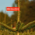 Tannenbaum-Verkauf