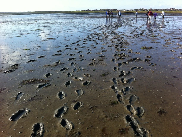 Fussspuren im Watt vor Rantum.JPG