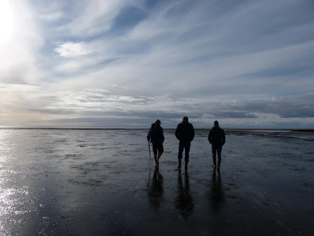 Wattwandern mit der Schutzstation Wattenmeer in Morsum_2.JPG