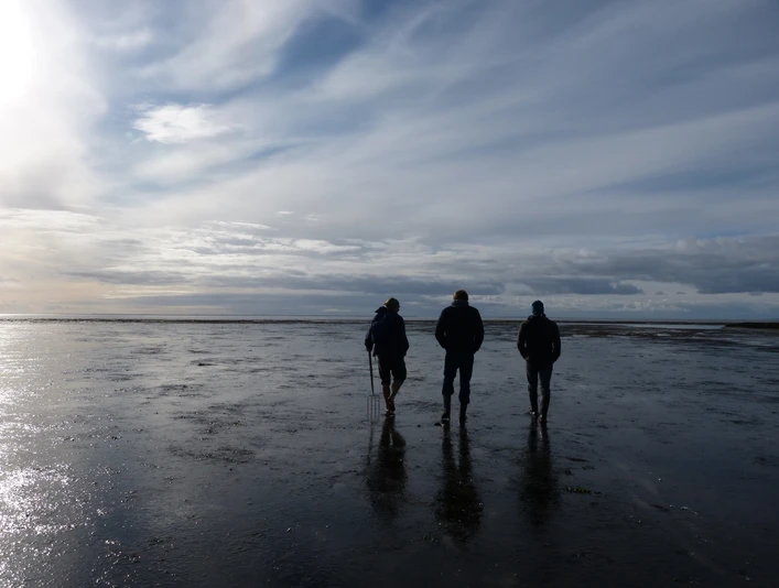 Wattwandern mit der Schutzstation Wattenmeer in Morsum_2.JPG