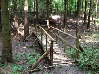 Waldlehrpfad Brücke Niederntudorf