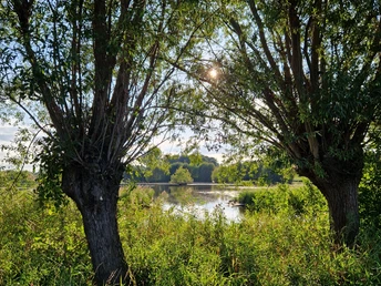 Blick auf das Steinhorster Becken