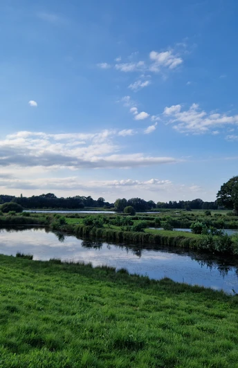 Das Steinhorster Becken.