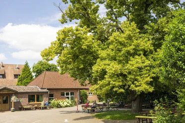 Aspergeboerderij Strampe Aspergeboerderij Strampe