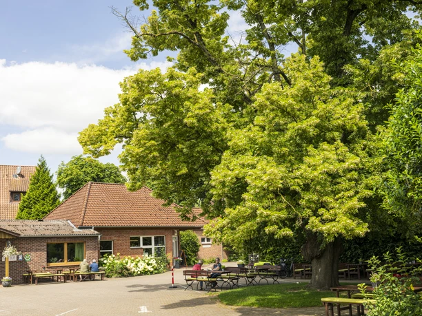 Spargelhof Strampe Spargelhof Strampe