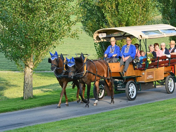 Willisauer Rösslifahrten