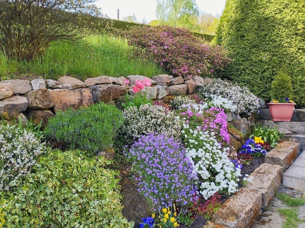 gepflegtes Grundstück