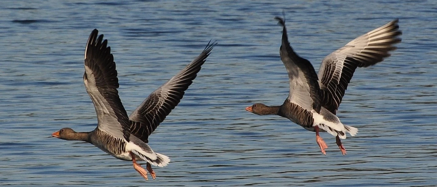 2025.04.12_Planetenweg_Kurt F. Domnik_pixelio.de.jpg