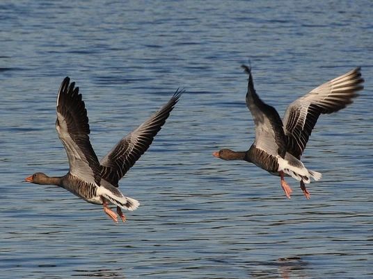 2025.04.12_Planetenweg_Kurt F. Domnik_pixelio.de.jpg