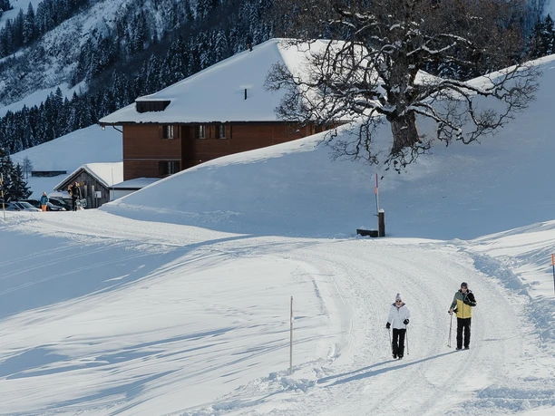 Winterwanderung von der Schwand nach Sörenberg.