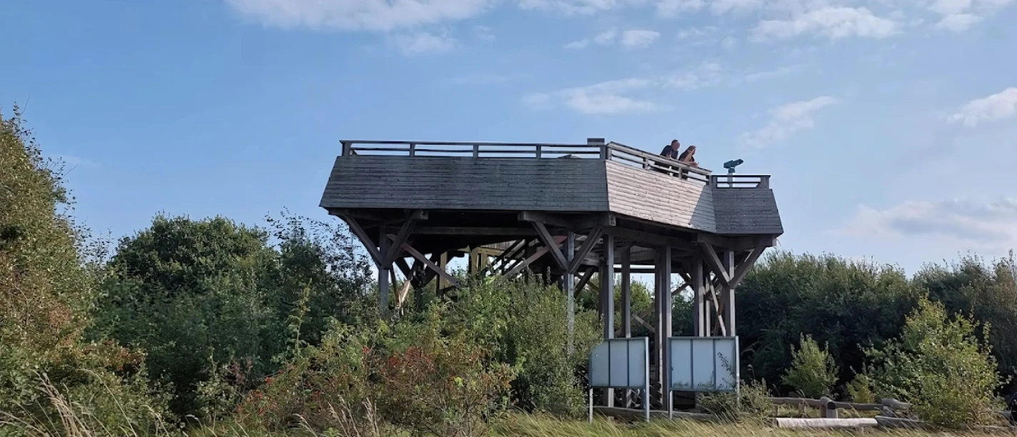 Untitled design (7).jpg