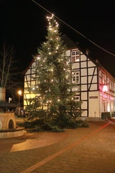 Großer, beleuchteter Weihnachtsbaum vor einem Fachwerkhaus in Rahden bei Nachtstimmung.