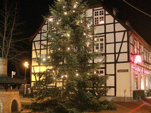 Großer, beleuchteter Weihnachtsbaum vor einem Fachwerkhaus in Rahden bei Nachtstimmung.