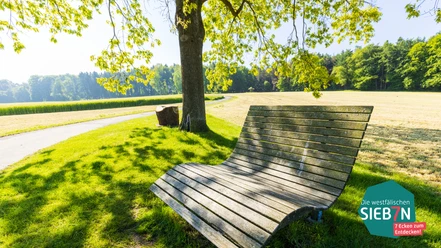 Baumelbank_Wohnmobilstellplatz_Stemwede.jpg Holzbank mit geschwungener Sitzfläche unter Baum, umgeben von Wiese und ruhigem Weg in Stemwede.
