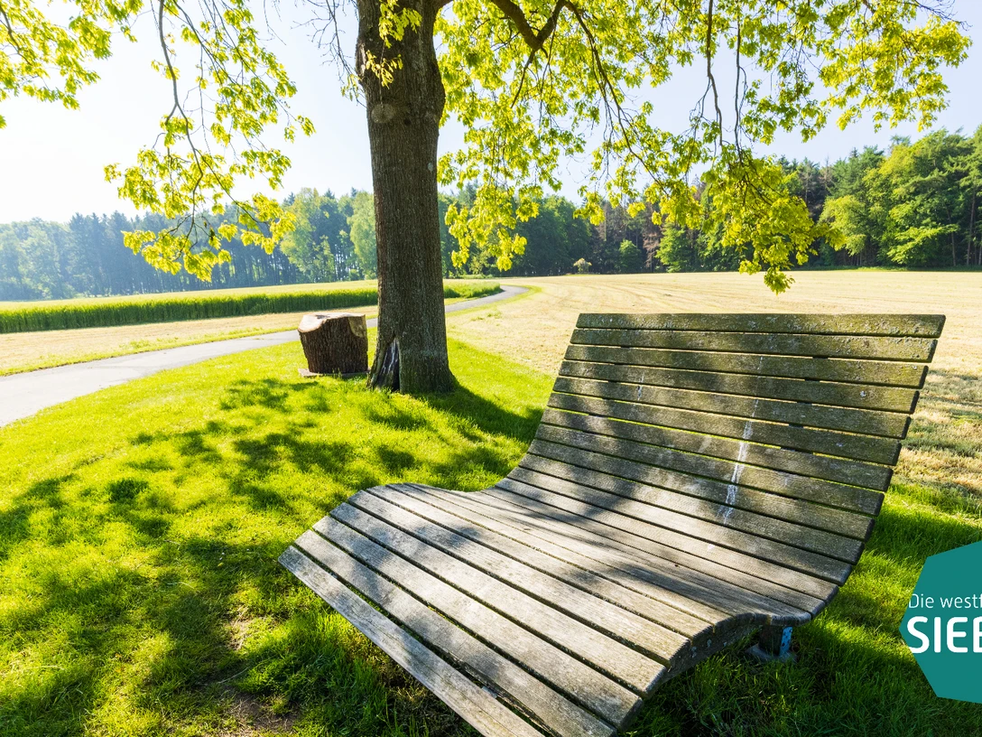 Baumelbank_Wohnmobilstellplatz_Stemwede.jpg Holzbank mit geschwungener Sitzfläche unter Baum, umgeben von Wiese und ruhigem Weg in Stemwede.