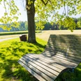 Baumelbank_Wohnmobilstellplatz_Stemwede.jpg Holzbank mit geschwungener Sitzfläche unter Baum, umgeben von Wiese und ruhigem Weg in Stemwede.