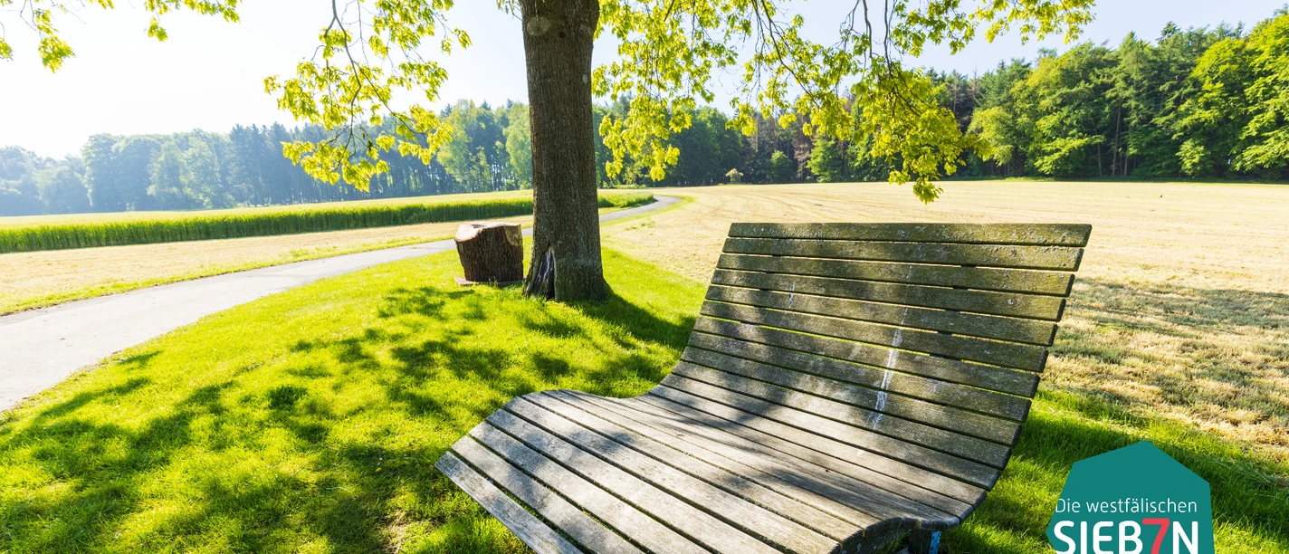 Baumelbank_Wohnmobilstellplatz_Stemwede.jpg Holzbank mit geschwungener Sitzfläche unter Baum, umgeben von Wiese und ruhigem Weg in Stemwede.