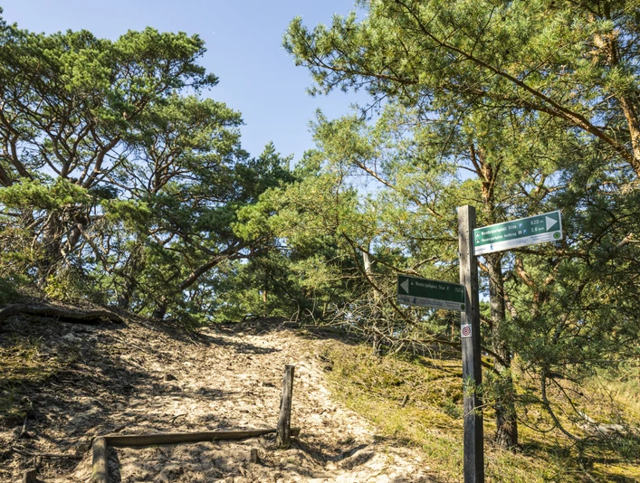Stixer wandering dune Stixer WanderdüneStixer wandering duneDune mobile de StixStixer dwalend duinStixer vandrende klit