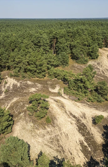 Stixer Wanderdüne Stixer WanderdüneStixer wandering duneDune mobile de StixStixer dwalend duinStixer vandrende klit