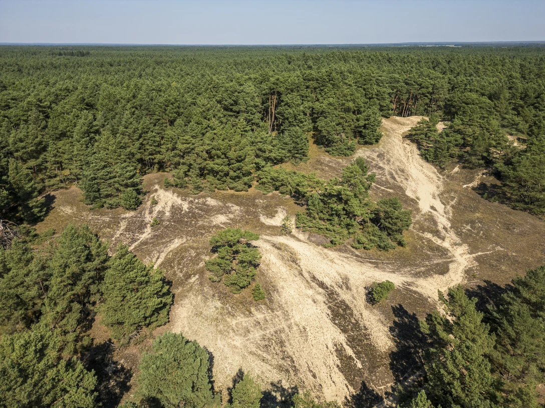 Stixer wandering dune Stixer WanderdüneStixer wandering duneDune mobile de StixStixer dwalend duinStixer vandrende klit