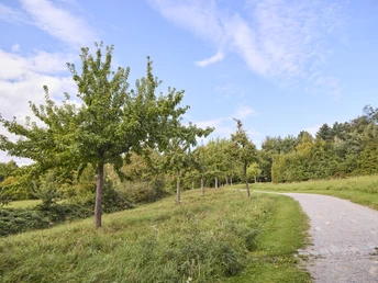 Försterteiche-StaffPark-LTMGmbH-HirschmeierMediaGmbH&CoKG_068.jpg Ein Kiesweg schlängelt sich durch eine grüne Landschaft mit vereinzelten jungen Bäumen unter blauem Himmel.