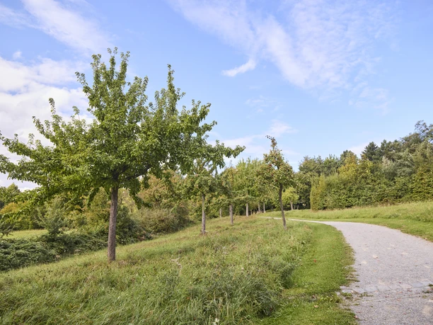 Försterteiche-StaffPark-LTMGmbH-HirschmeierMediaGmbH&CoKG_068.jpg Ein Kiesweg schlängelt sich durch eine grüne Landschaft mit vereinzelten jungen Bäumen unter blauem Himmel.