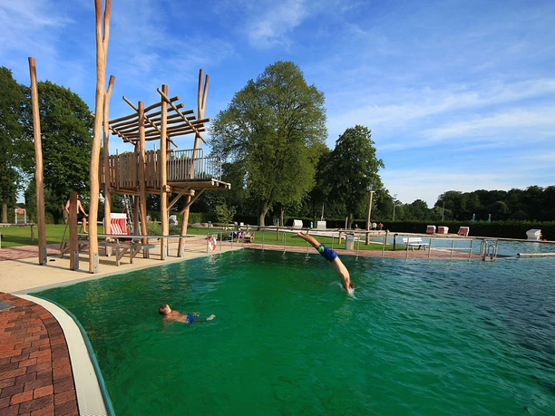 Ein Mann springt in ein grünblaues Freibadbecken neben einer Holzplattform, umgeben von Bäumen.