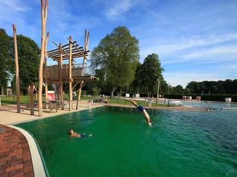 Köpper.jpg Ein Mann springt in ein grünblaues Freibadbecken neben einer Holzplattform, umgeben von Bäumen.