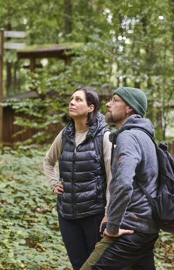 Wilddiebsroute-LTMGmbH-HirschmeierMediaGmbH&CoKG_032.jpg Zwei Personen bestaunen die grüne Waldlandschaft auf einem naturbelassenen Pfad.