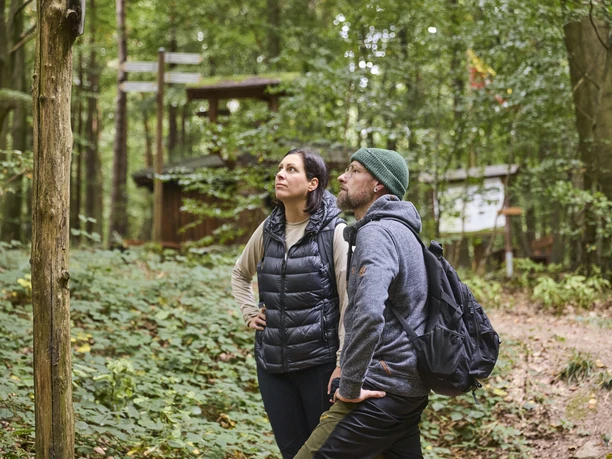 Wilddiebsroute-LTMGmbH-HirschmeierMediaGmbH&CoKG_032.jpg Zwei Personen bestaunen die grüne Waldlandschaft auf einem naturbelassenen Pfad.